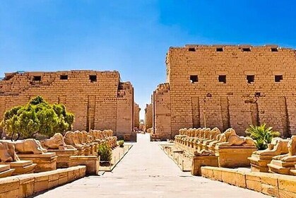 Grupo pequeño de Hurghada a Luxor, con almuerzo y entrada.