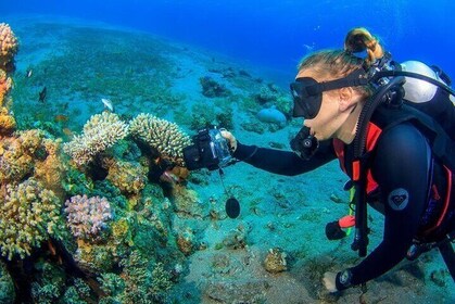 Discover the Depths Full-Day Diving Tour with Lunch in Hurghada