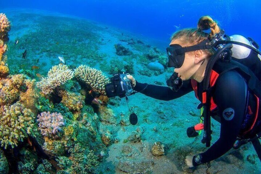 Discover the Depths Full-Day Diving Tour with Lunch in Hurghada