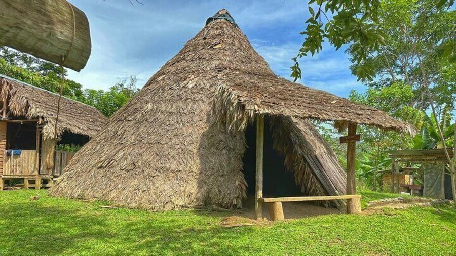 Tour Shaman medicinal plants and waterfalls