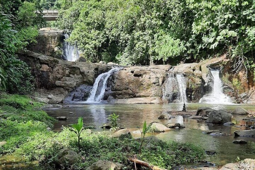 Tour Shaman medicinal plants and waterfalls 