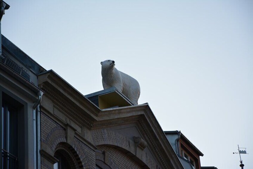 Wild animals in the middle of the city?