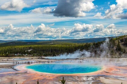 Geführte Yellowstone Hot Spring & Geysir Basin Tour