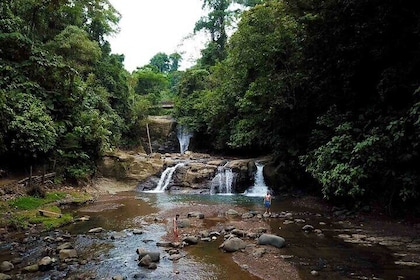 Cahuita National Park plus Waterfalls