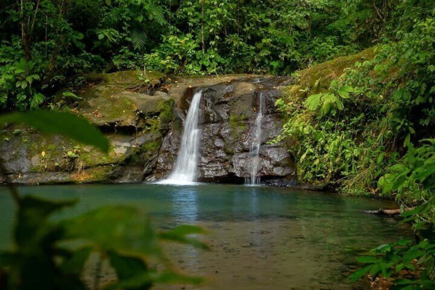Cahuita National Park plus Waterfalls