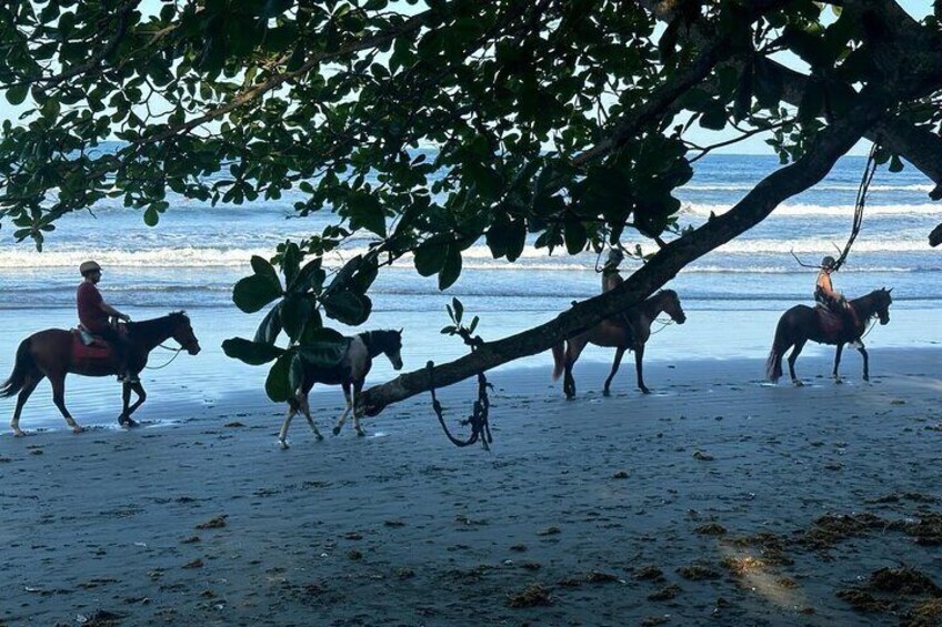 Cahuita National Park plus Waterfalls 