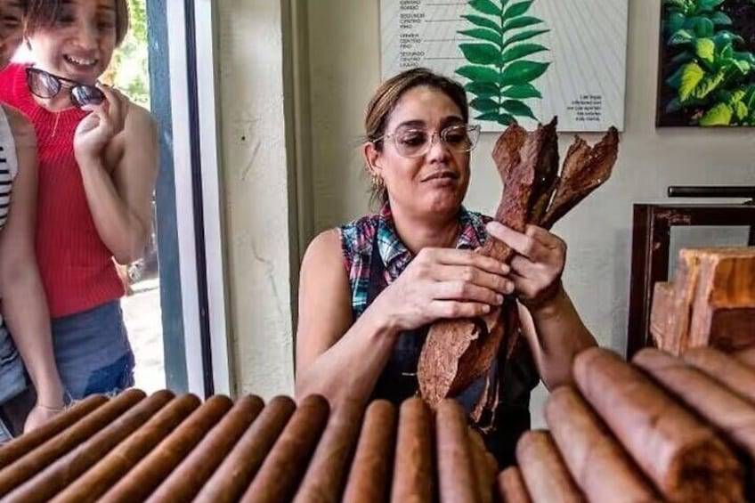 Watch cigars being made by hand