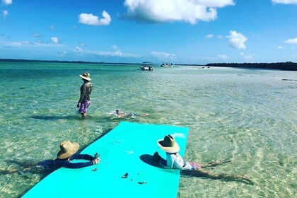 Explore the waters Florida Keys in a Full-Day Private Activity
