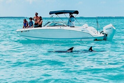 Dolphin Snorkel & Sandbar