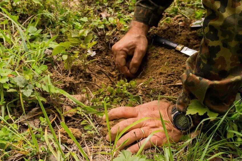 5 Hours Truffle Hunt Experience with Cooking Class