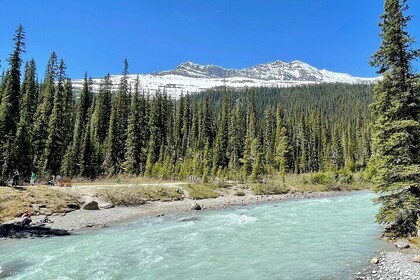 Private Banff and Yoho National Park Tour with Moraine Lake