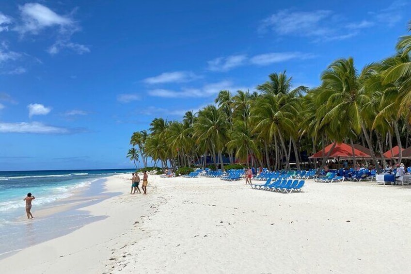 Saona Private tour with personal guide and transport from Punta Cana