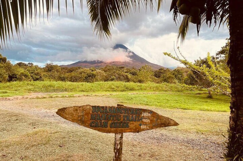 Three hours walking tour around the deep Tropical Rain Forest