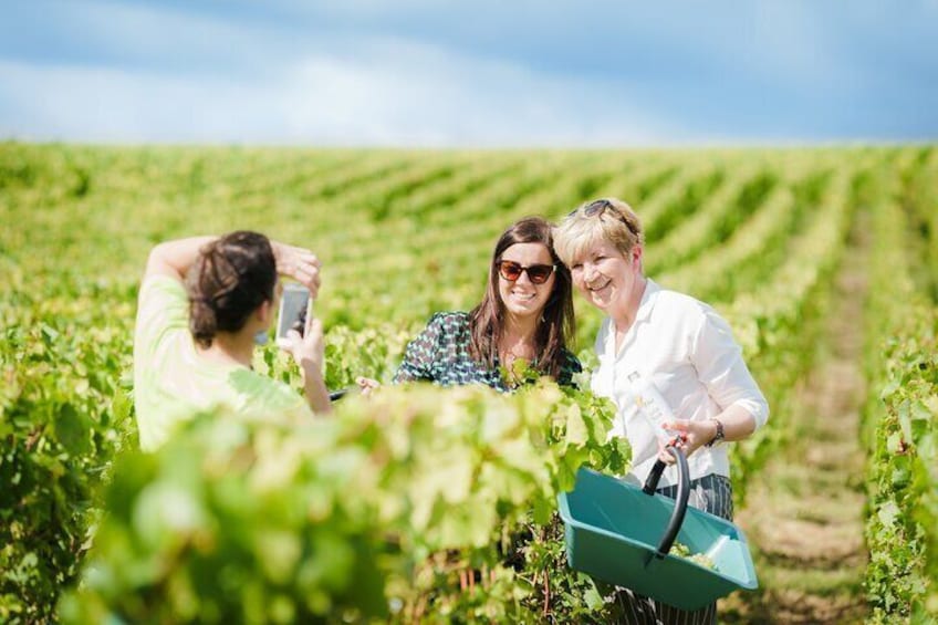 Spend the day experiencing the Champagne wine region around Reims and Epernay!