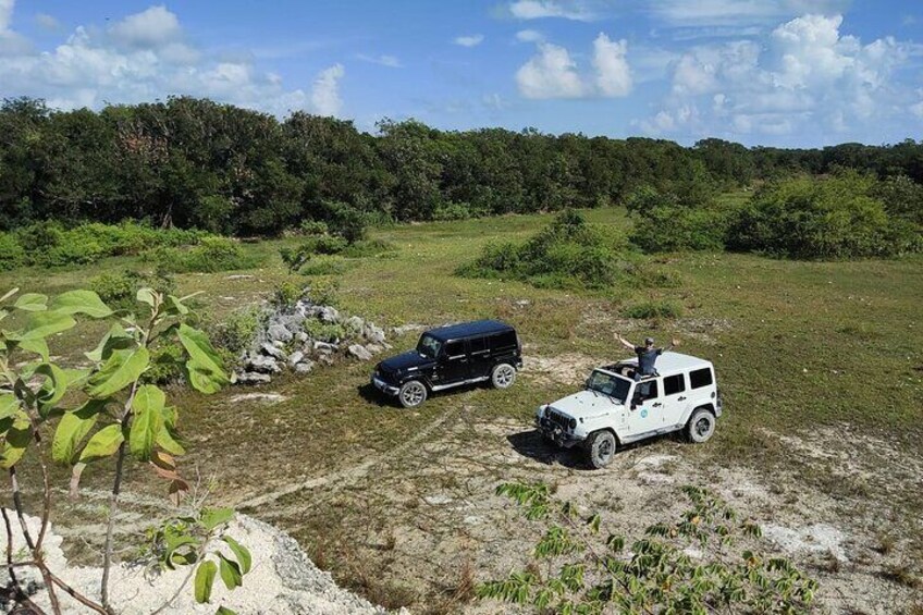 Private Cozumel Cave and Ruin Exploration Tour with Picnic