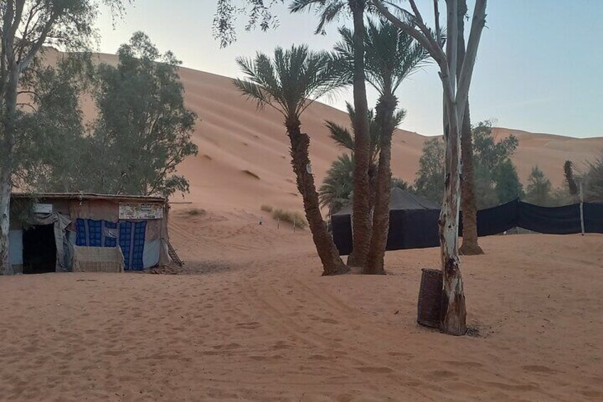 Lunch in Merzouga Desert Oasis, Transport With 4WD