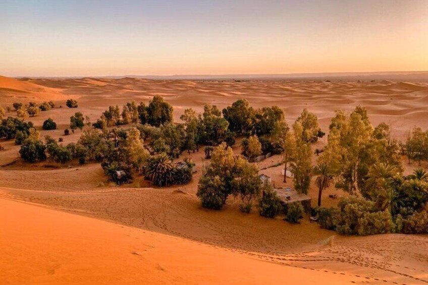 Lunch in Merzouga Desert Oasis, Transport With 4WD