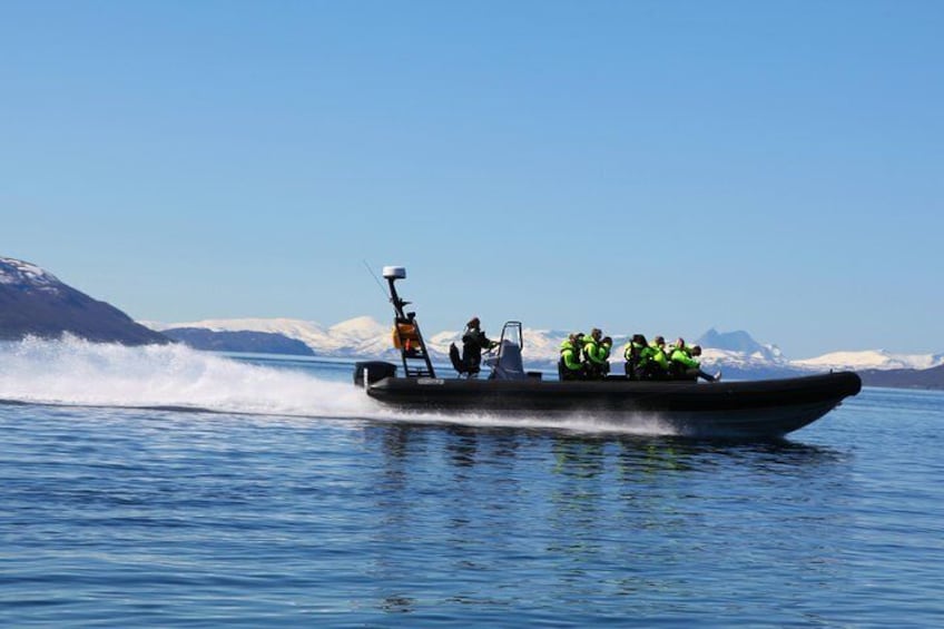 Speed, waves and fun on the fjords