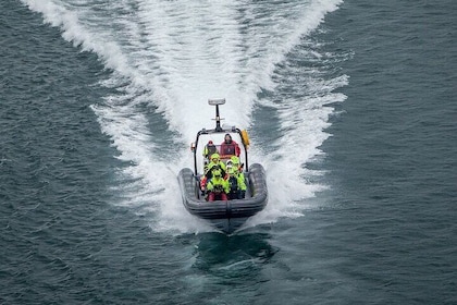 Tromsø: Skjervøy RIB Walbeobachtungstour mit Getränken und Snacks