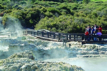 5 hour Shore Excursion - Hell's Gate Geothermal Experience and Mud Spa, Rot...