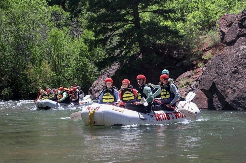 Telluride Afternoon Half-Day Rafting Tour on the San Miguel River