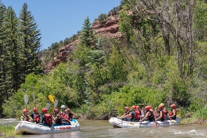 Telluride Afternoon Half Day Rafting Trip - San Miguel River
