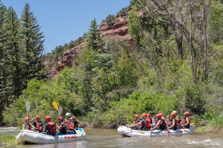 Telluride Afternoon Half-Day Rafting Tour on the San Miguel River