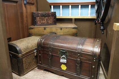 denver zoo tour Puzzle Pirates Puzzle Room Experience For Kids