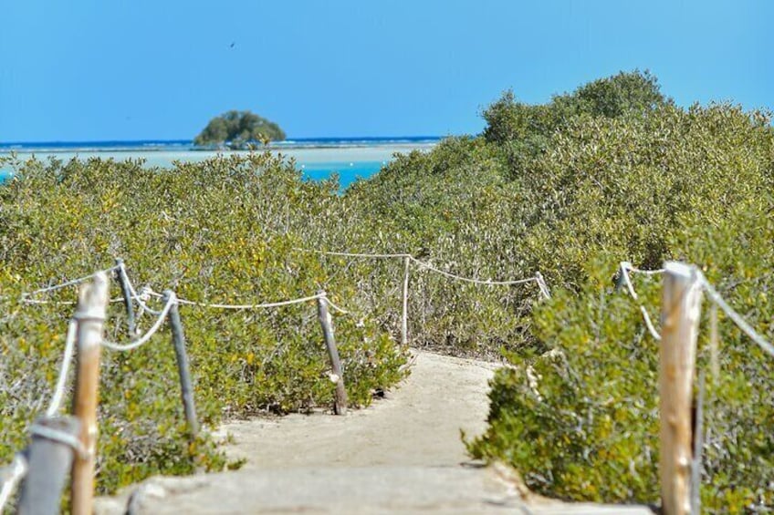 Wady Elgemal National Park Marsa alam 