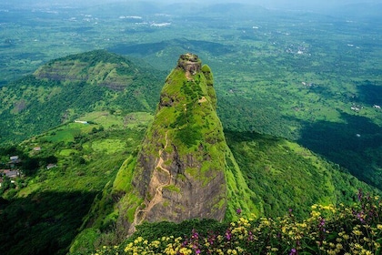 The Pinnacle Fort Hike