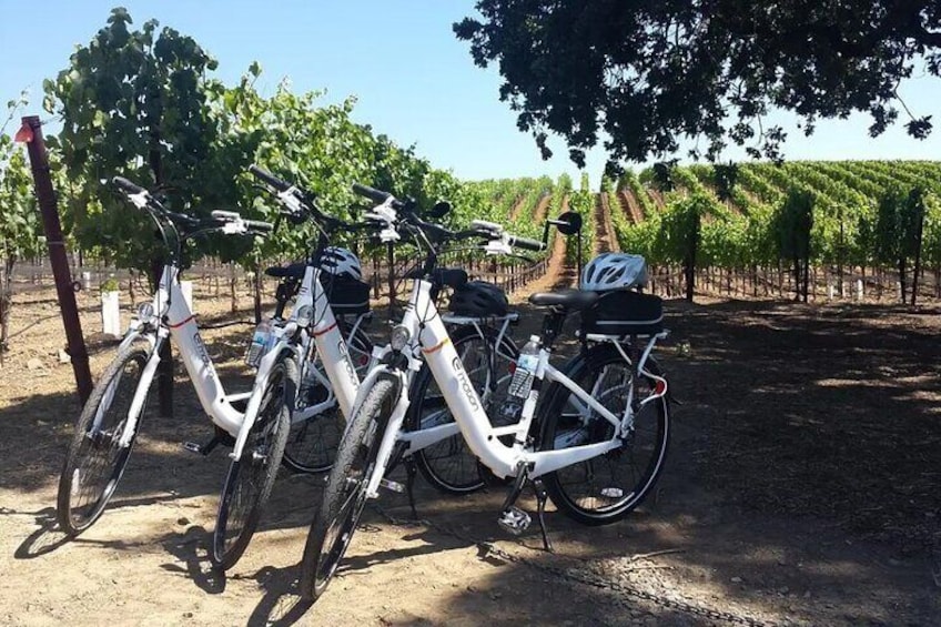 Pedal and Paddle Wine Tour in Arizona