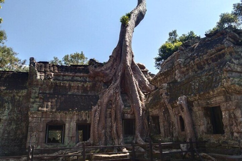 Pattaya to Angkor Wat 2 days 1 night Private tour