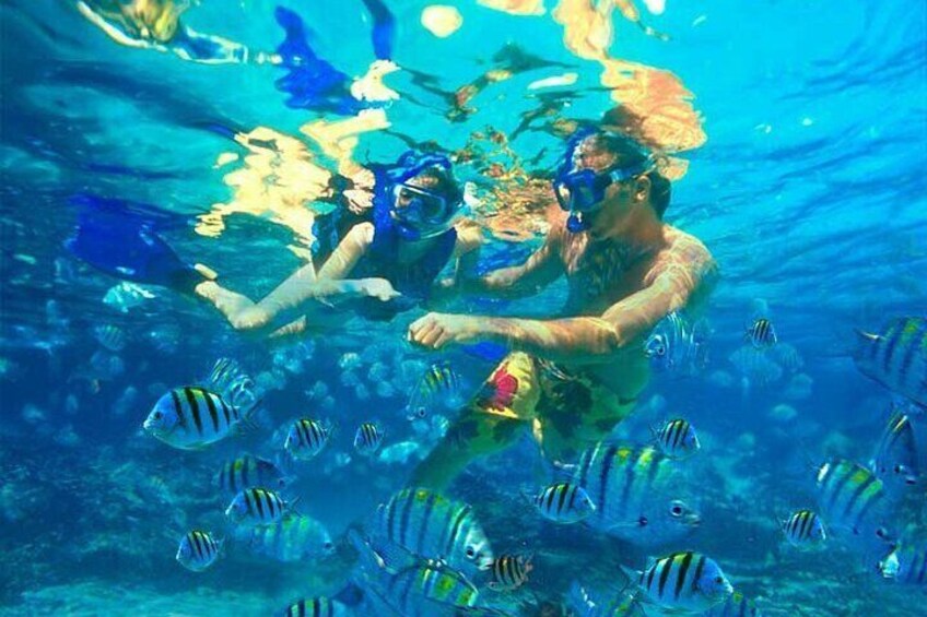 catalina-island-and-bayahibe-snorkel-tour