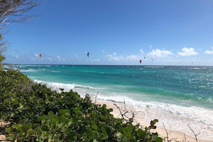 Silver Sands