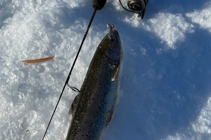 3-Hour Ice Fishing Fairbanks Catch and Cook Guided Experience