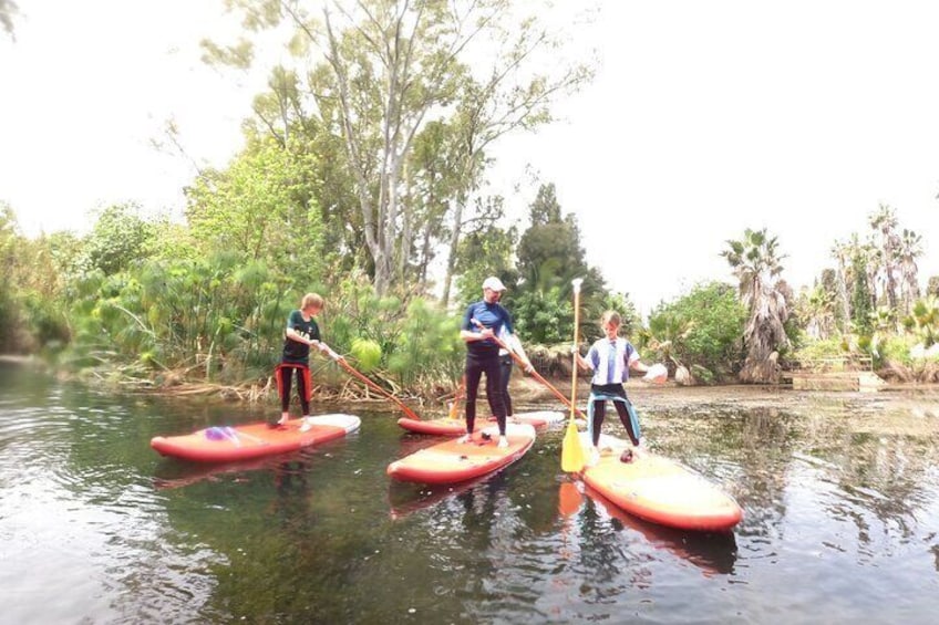 2 Hours and a Half Sup Tour in the Ciane Reserve in Syracuse