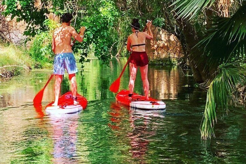 2 Hours guided tour in Sup in the Syracuse coast