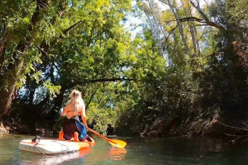 2 Hours and a Half Sup Tour in the Ciane Reserve in Syracuse