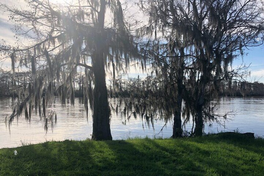 Walking Tour into The Swamps