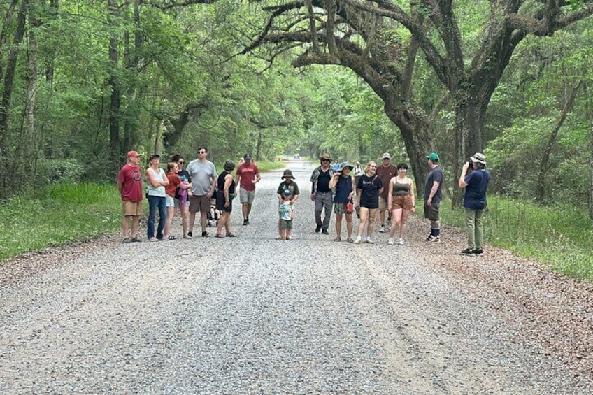 Devil's Swamp - Eco - Walking Tour