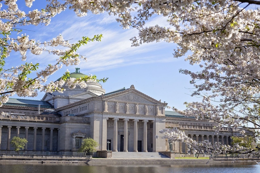 Museum of Science and Industry: Ticket with Self-Guided Audio Tour