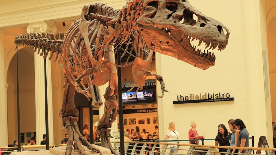Field Museum of Natural History Ticket with Self-Guided Audio Tour