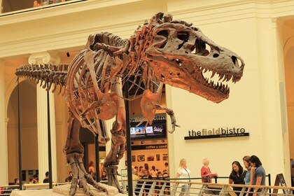 Billet til Field Museum of Natural History med selvguidet audiotur