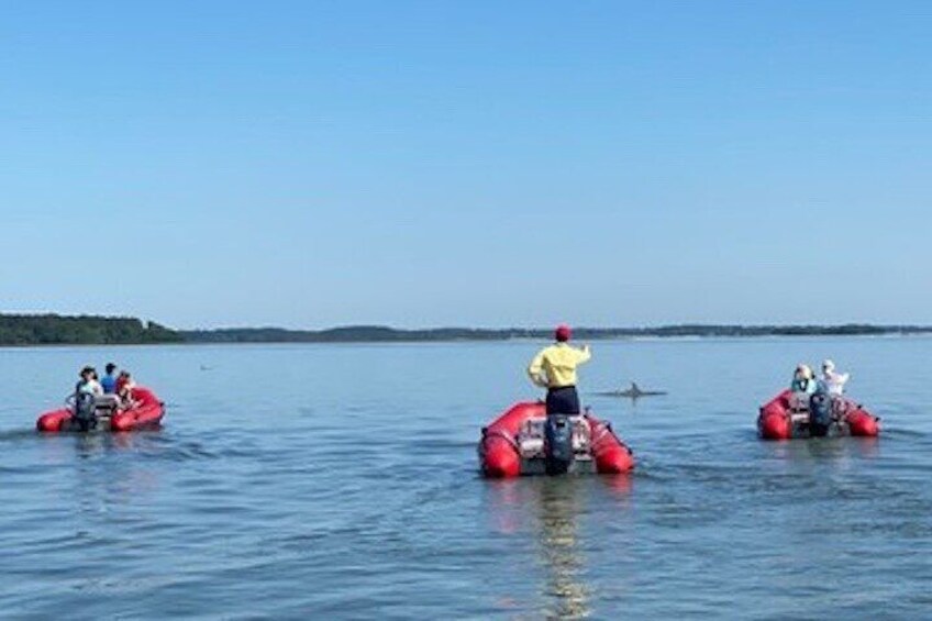 Mini Boat Tour with stop at Disappearing Island