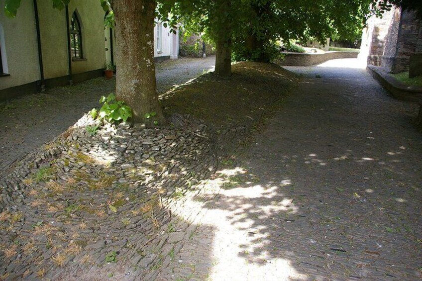 Burial mound over 60 bodies are buried here. But why?