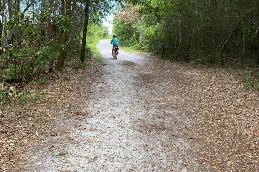 Electric Bike Tours in Amelia Island