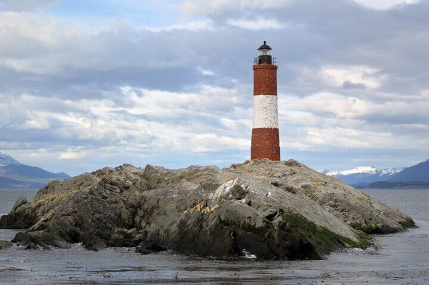 Catamaran Tour through the Beagle Channel and Penguins in Isla Martillo