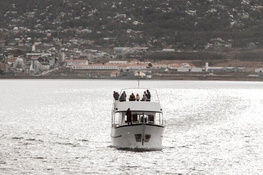 Catamaran Tour through the Beagle Channel and Penguins in Isla Martillo