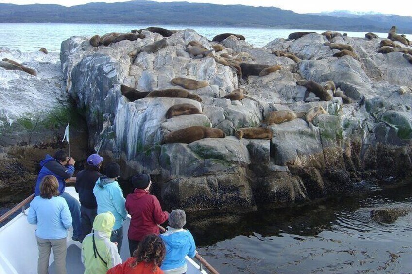 Catamaran Tour through the Beagle Channel in Ushuaia