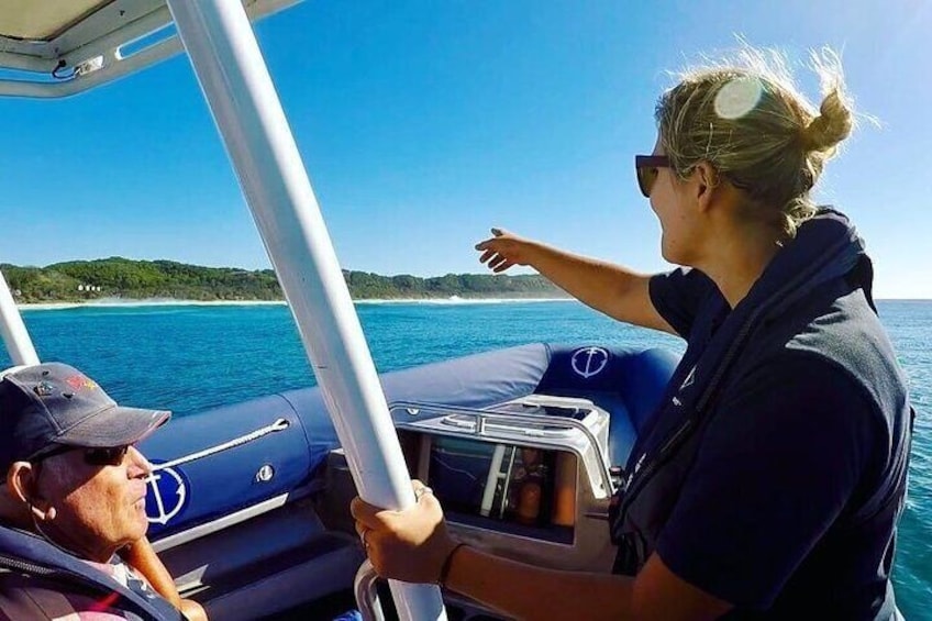 Byron Bay Dolphin Tour - Ocean Safari